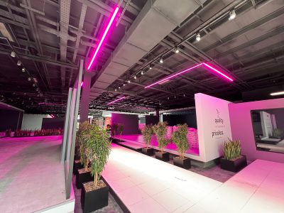 چراغ خطی منحنی در شوروم